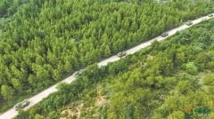 砺兵山野，机动攻防：陆军某合成旅实兵实弹对抗演练