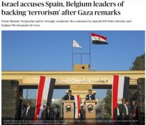 这两国首相批评以色列，以方怒了